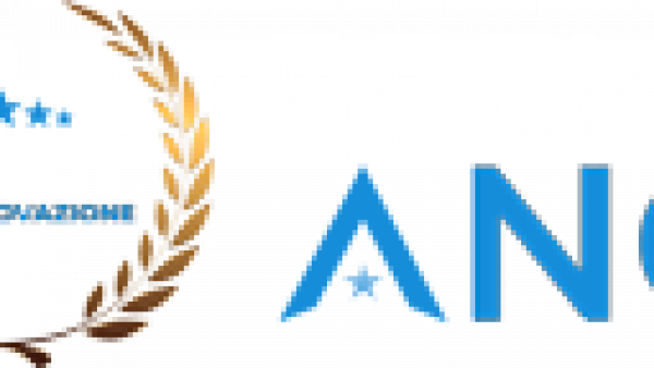 Premio-Angi-Logo-oriz